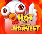 Hot Harvest